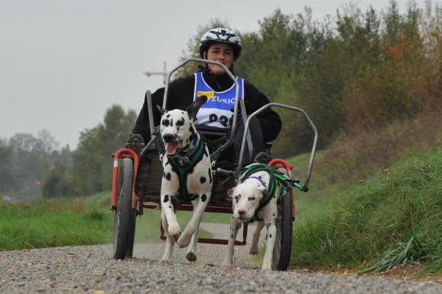 Rennen Weinfelden